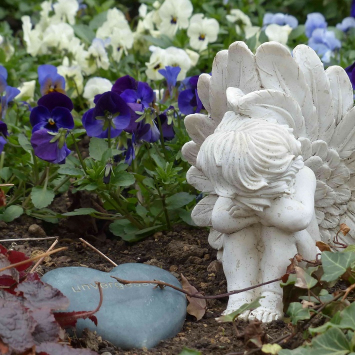 Фото Что посадить на кладбище: выбор цветов и деревьев для оформления могилы